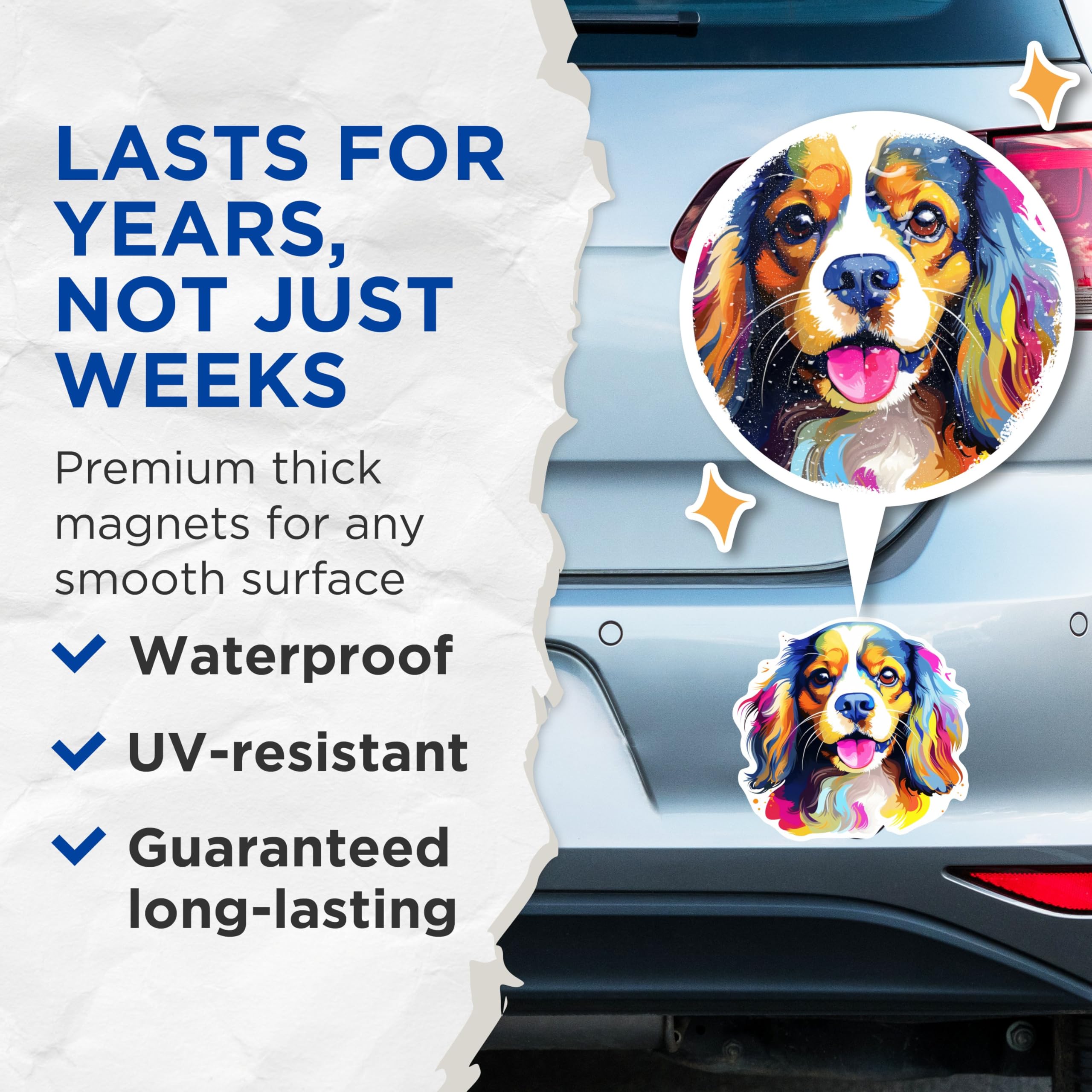 (2 Pack) Cavalier King Charles Spaniel Dog Breed Magnets - 5 Inches On Longest Side - Choose from Over 100 Dog Breeds - for Cars, Refrigerators, Toolboxes - Made in USA - MAG1818