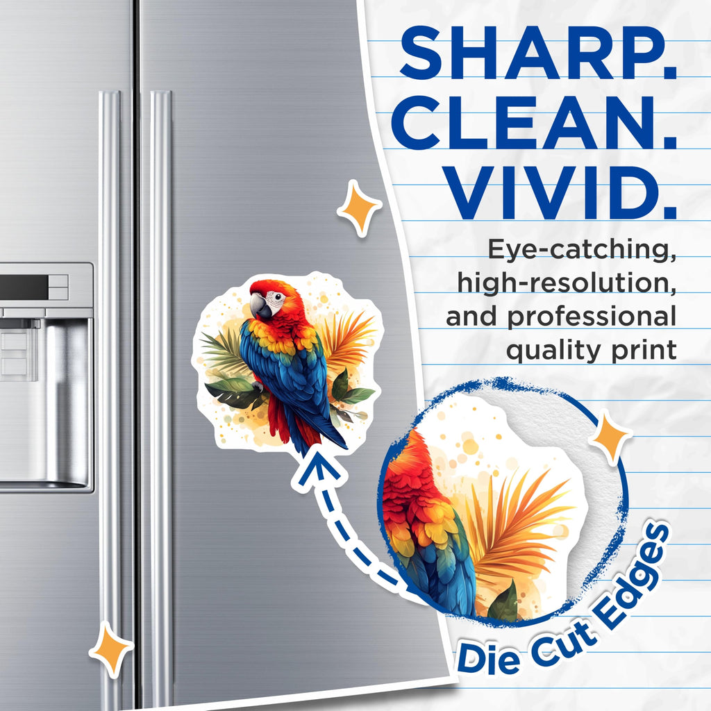 (2 Pack) Vibrant Macaw Magnets - Tropical Parrot Decor - Exotic Bird Refrigerator Art - 5 Inches On Longest Side - Thick Durable Magnet - Made in USA - MAG29429