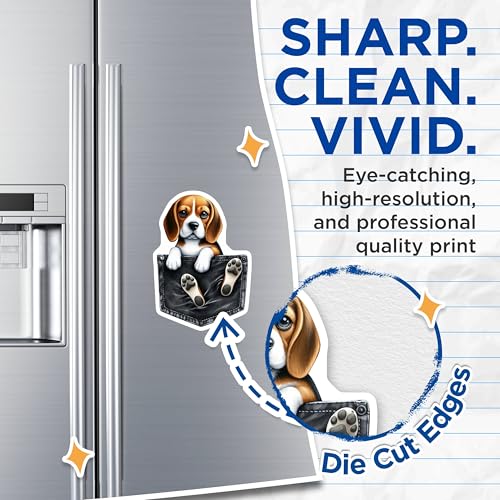 (2 Pack) Cute Puppy Magnets - Dog Refrigerator Magnets - Beagle Novelty Magnets for Fridge or Locker - 5" On Longest Side - for Cars, Fridges, Toolboxes - Made in USA - MAG3871