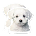 (2 Pack) White Fluffy Puppy Magnets - Cute Dog Lover Fridge Decor - Pet Animal Car Locker Accessory - 5 Inches On Longest Side - Thick Durable Magnet - Made in USA - MAG27714