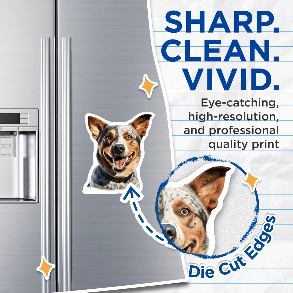 (2 Pack) Australian Cattle Dog Magnets - Smiling Blue Heeler Art - Pet Parent Accessories - 5 Inches On Longest Side - Thick Durable Magnet - Made in USA - MAG27951