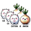 (3 Pack) Cation and Anion Decals - Chemistry Science Stickers - Cute Science Decal - 3 Inches On Longest Side - Easy Peel & Apply - Made in USA - 3MCS6794