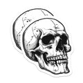(2 Pack) Skull Magnets - Gothic Decor - Skeleton Art - Macabre Refrigerator Magnets - Halloween Home - 5 Inches On Longest Side - Thick Durable Magnet - Made in USA - MAG37465
