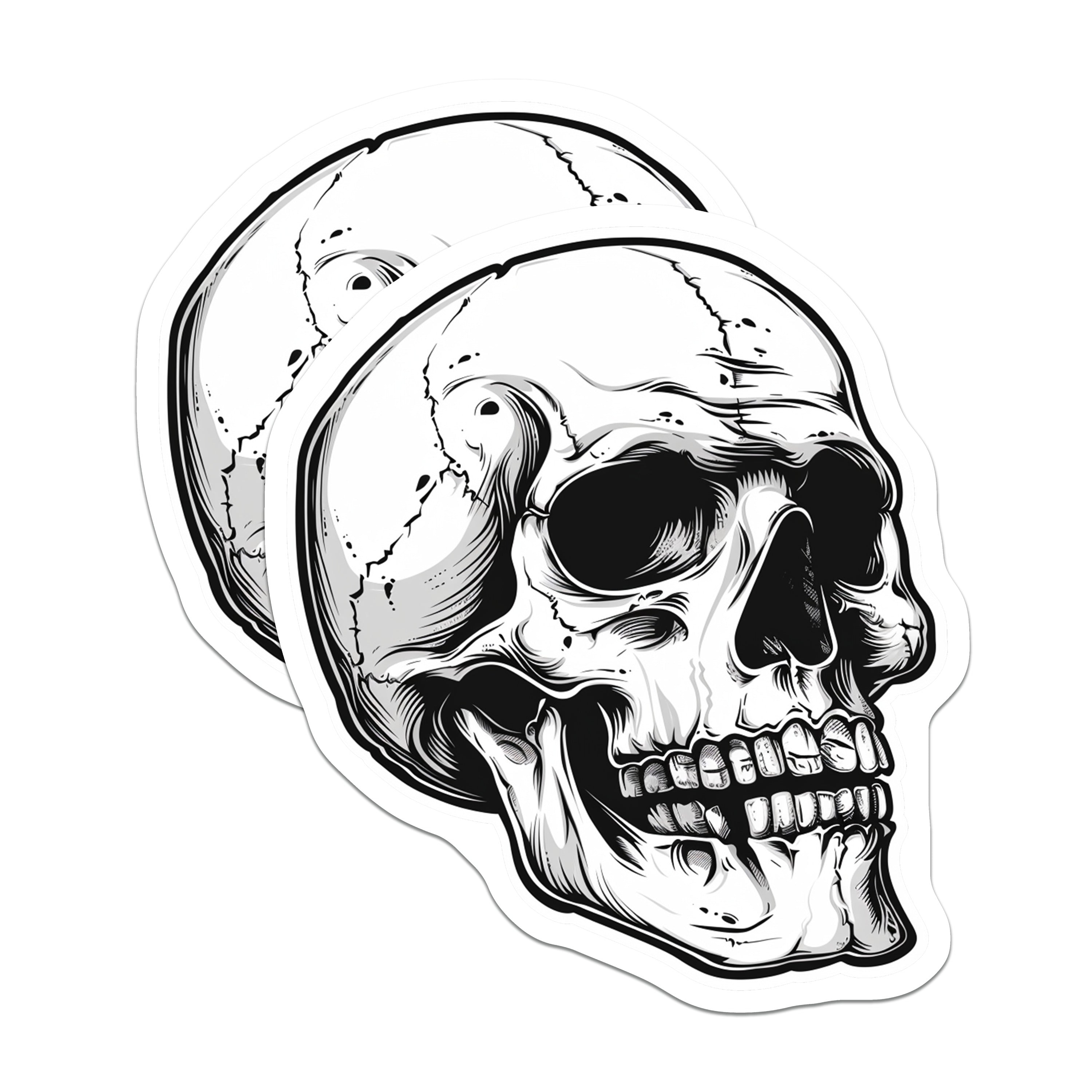 (2 Pack) Skull Magnets - Gothic Decor - Skeleton Art - Macabre Refrigerator Magnets - Halloween Home - 5 Inches On Longest Side - Thick Durable Magnet - Made in USA - MAG37465