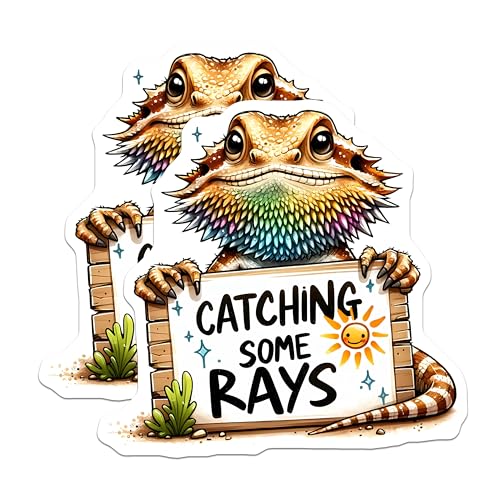 (2 Pack) Catching Some Rays Magnets - Bearded Dragon Art - Fun Reptile - Colorful Animal Magnets - 5" On Longest Side - for Cars, Fridges, Toolboxes - Made in USA - MAG3732