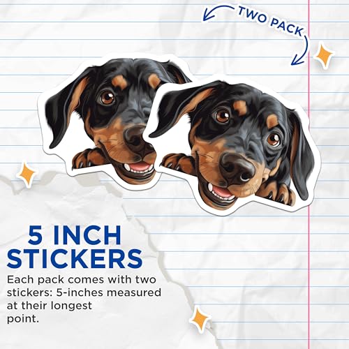(2 Pack) Cute Dog Stickers - Dachshund Lover - Dog Art Decal - 5" On Longest Side - Sticks to Smooth Flat Surfaces - Made in USA - BMCS9841