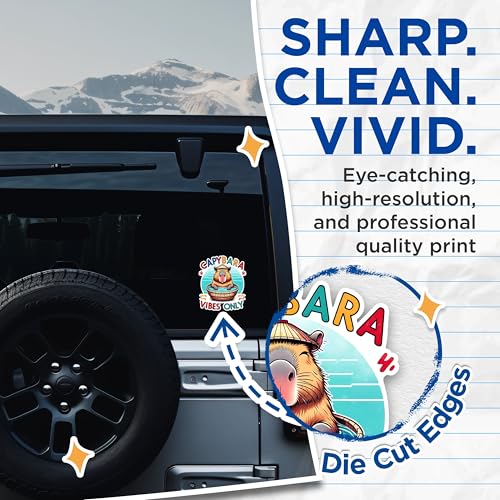 (2 Pack) Capybara Vibes Only Stickers - Cute Animal Stickers - Fun Cartoon Capybara Stickers - 5" On Longest Side - Sticks to Any Smooth Flat Surface - Made in USA - BMCS2668