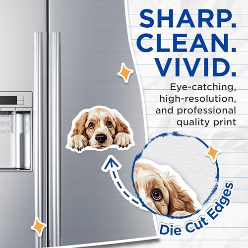 (2 Pack) Dog Lover Refrigerator Decor Magnet - 5" On Longest Side - Sticks to Smooth Flat Surfaces - Made in USA - MAG9937