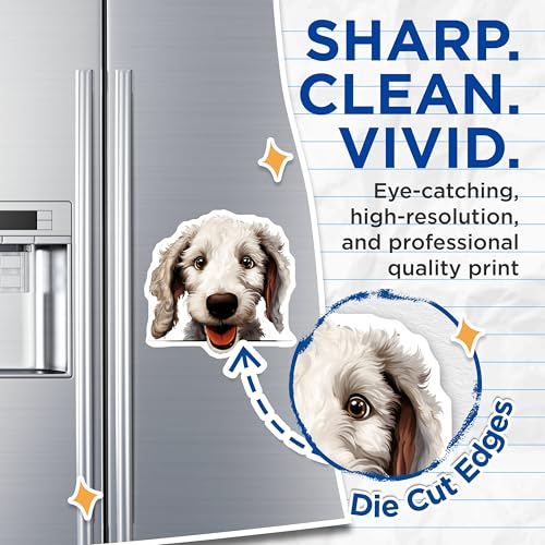 (2 Pack) White Dog with Floppy Ears Magnet - Adorable Puppy - 5" On Longest Side - Sticks to Smooth Flat Surfaces - Made in USA - MAG9858