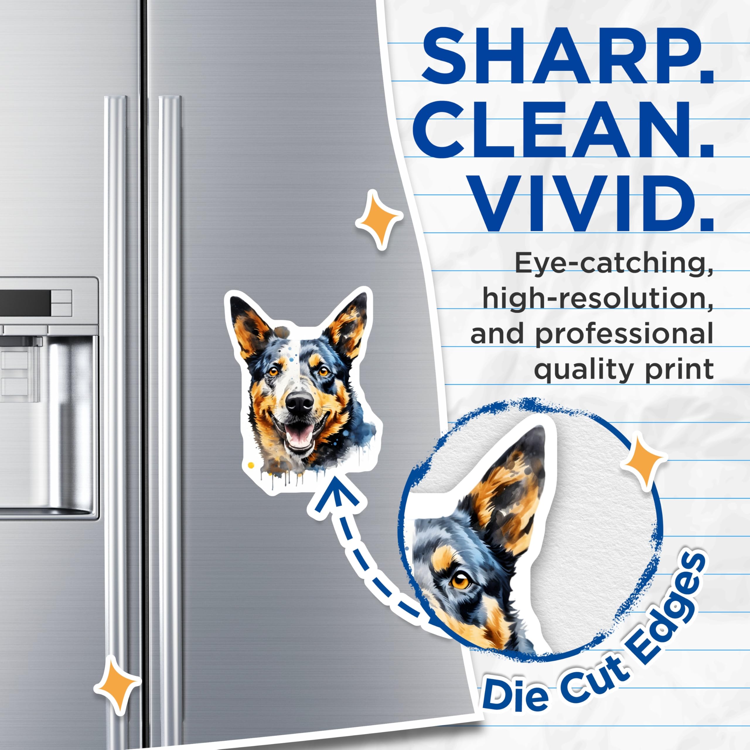 (2 Pack) Australian Cattle Dog Magnets - Blue Heeler Art Decor - Pet Owner Collectible - 5 Inches On Longest Side - Thick Durable Magnet - Made in USA - MAG29374