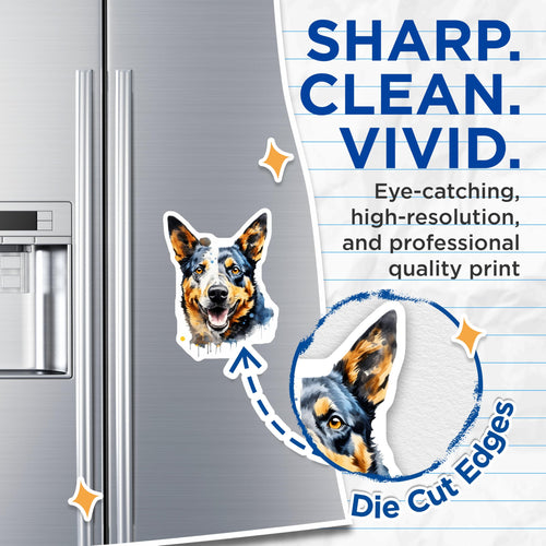 (2 Pack) Australian Cattle Dog Magnets - Blue Heeler Art Decor - Pet Owner Collectible - 5 Inches On Longest Side - Thick Durable Magnet - Made in USA - MAG29374