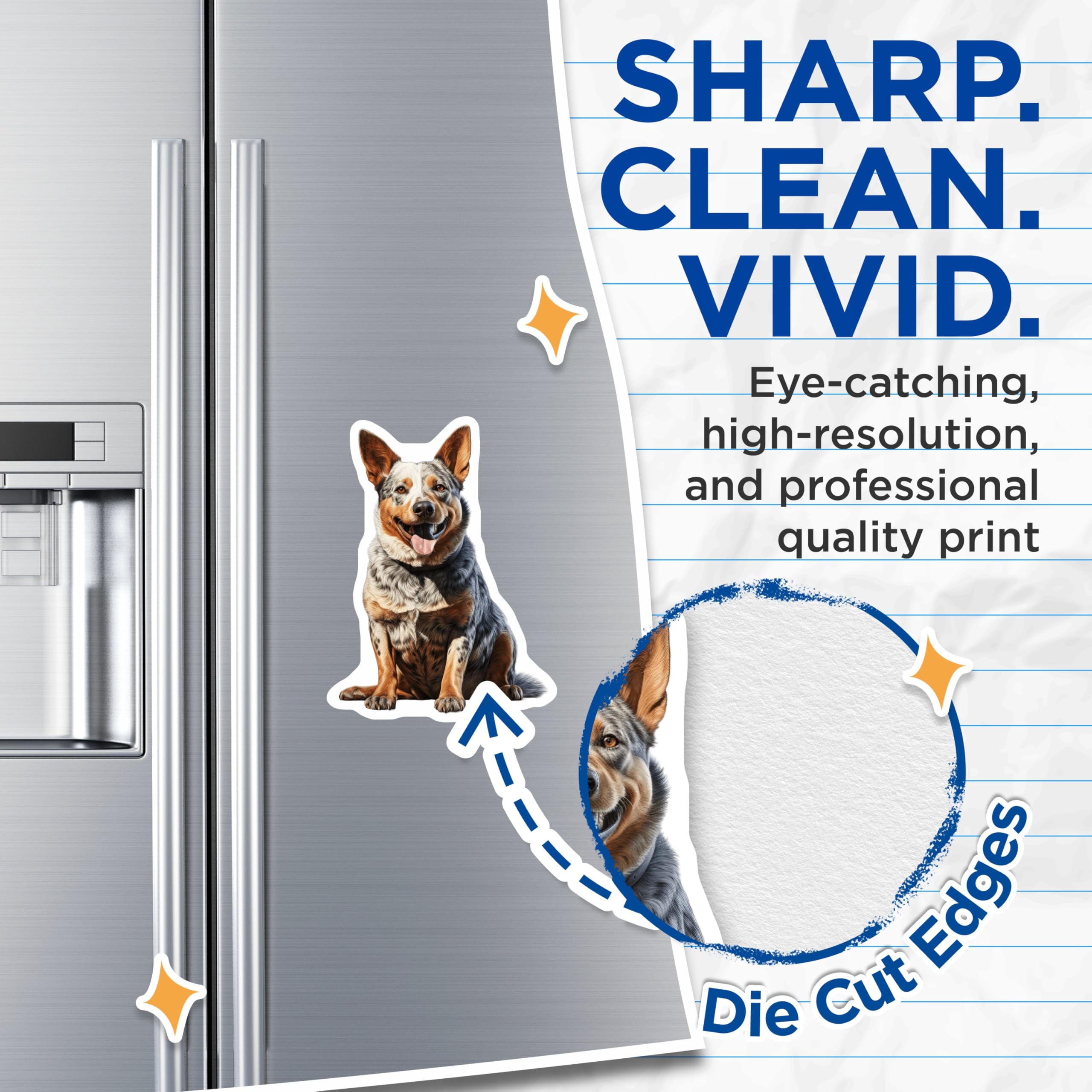 (2 Pack) Australian Cattle Dog Magnets - Blue Heeler Dog Lover - Pet Owner Kitchen Decor - 5 Inches On Longest Side - Thick Durable Magnet - Made in USA - MAG30139