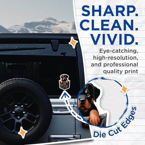 (2 Pack) Rottweiler Puppy Stickers - Cute Dog Stickers - Fun Pet Lover Decals - Adorable Dog Art - 5" On Longest Side - Sticks to Smooth Flat Surfaces - Made in USA - BMCS4379