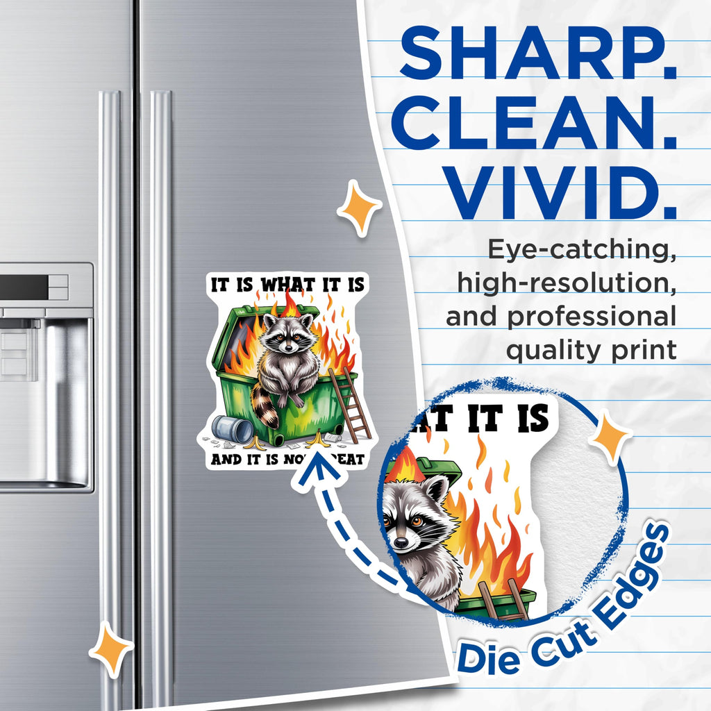 (2 Pack) It is What It is Magnets - Raccoon Dumpster Fire - Funny Meme Magnets - 5" On Longest Side - Premium Magnet - for Cars, Refrigerators, Toolboxes, Lockers - Made in USA - MAG16244