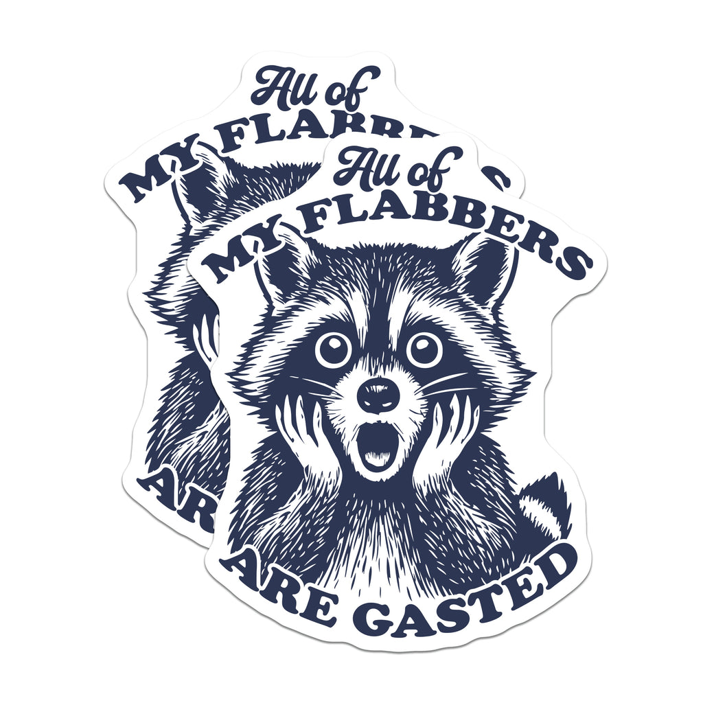 (2 Pack) Flabbergasted Raccoon Magnets - Funny Meme Animal - Quirky Fridge Locker Decor - 5 Inches On Longest Side - Thick Durable Magnet - Made in USA - MAG39638