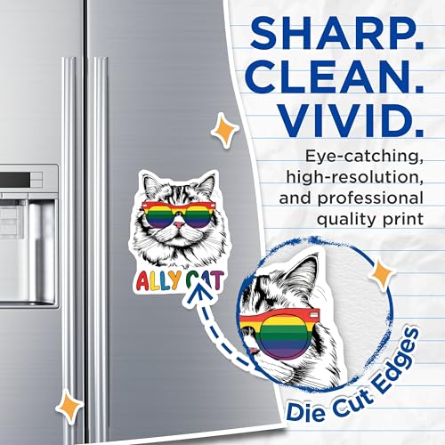 (2 Pack) Rainbow Cat Decor Magnet - Cute Feline Accessories - 5" On Longest Side - Sticks to Smooth Flat Surfaces - Made in USA - MAG9547