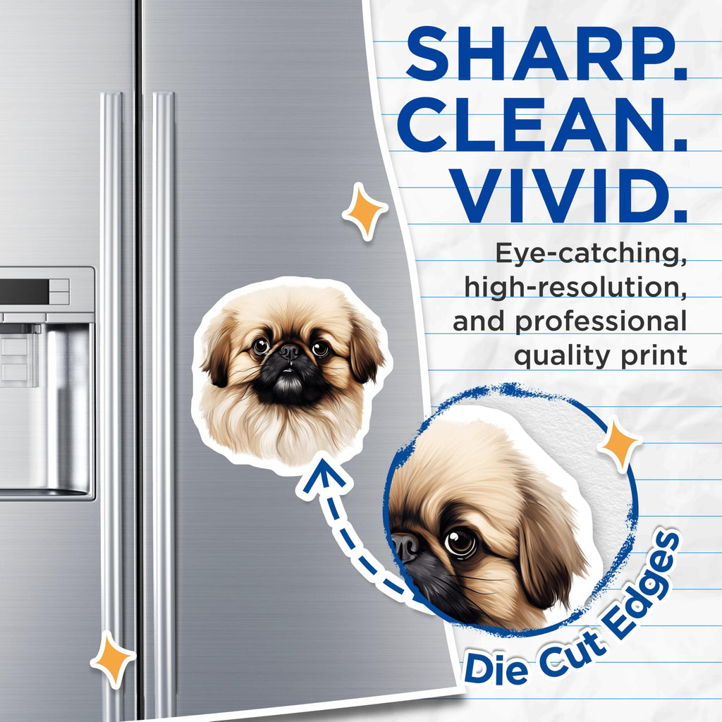 (2 Pack) Pekingese Dog Magnets - Pet Lover Decor - Animal Companion Magnets - 5 Inches On Longest Side - Thick Durable Magnet - Made in USA - MAG27732