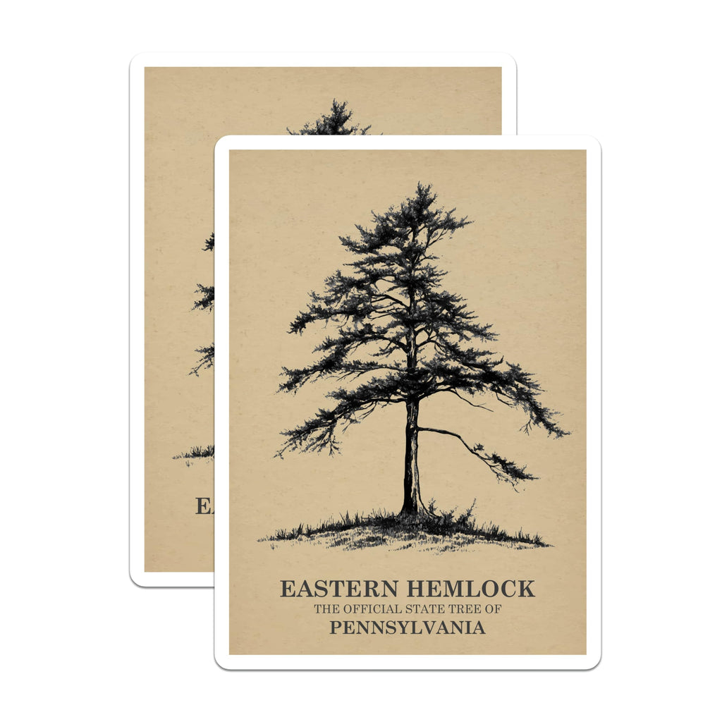 (2 Pack) Eastern Hemlock Stickers - Pennsylvania State Tree - Botanical Art Stickers - 5" On Longest Side - Sticks to Smooth Flat Surfaces - Made in USA - BMCS18355
