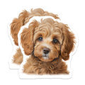 (2 Pack) Goldendoodle Puppy Magnets - Cute Dog Lover - Pet Owner Refrigerator Decor - 5 Inches On Longest Side - Thick Durable Magnet - Made in USA - MAG26077