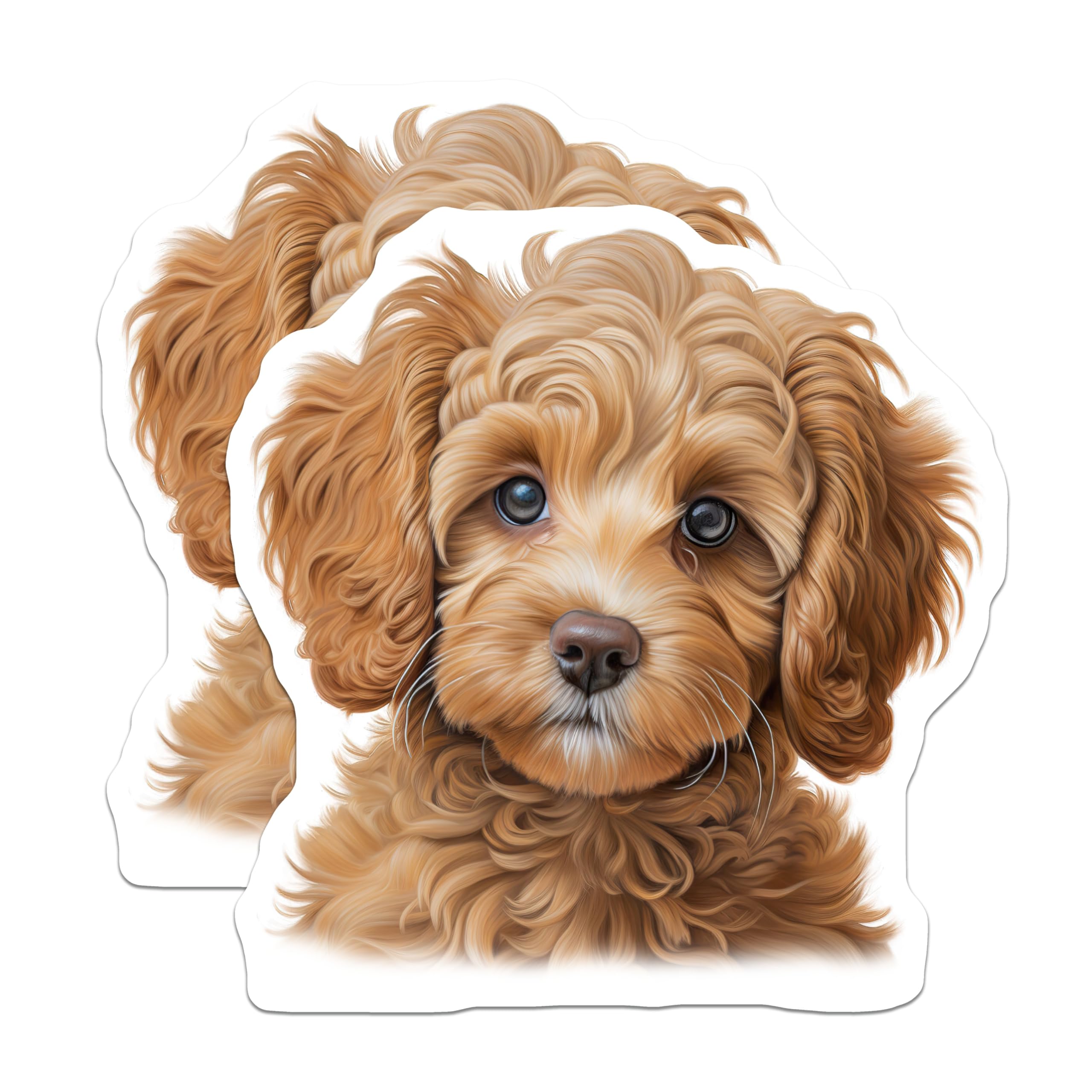 (2 Pack) Goldendoodle Puppy Magnets - Cute Dog Lover - Pet Owner Refrigerator Decor - 5 Inches On Longest Side - Thick Durable Magnet - Made in USA - MAG26077