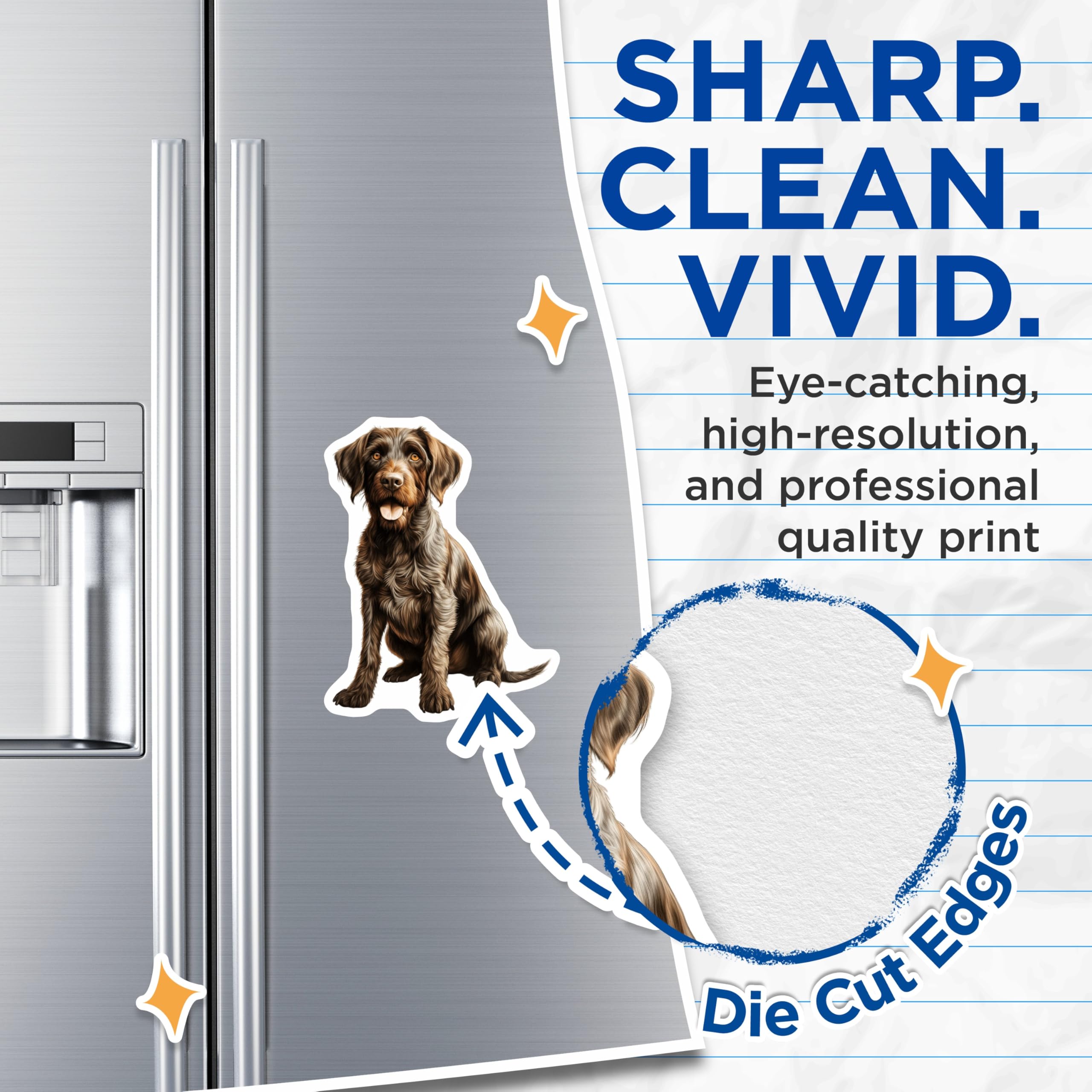 (2 Pack) Wirehaired Pointing Griffon Magnets - Hunting Dog Magnets - Canine Animal Art Decor - 5 Inches On Longest Side - Thick Durable Magnet - Made in USA - MAG24097