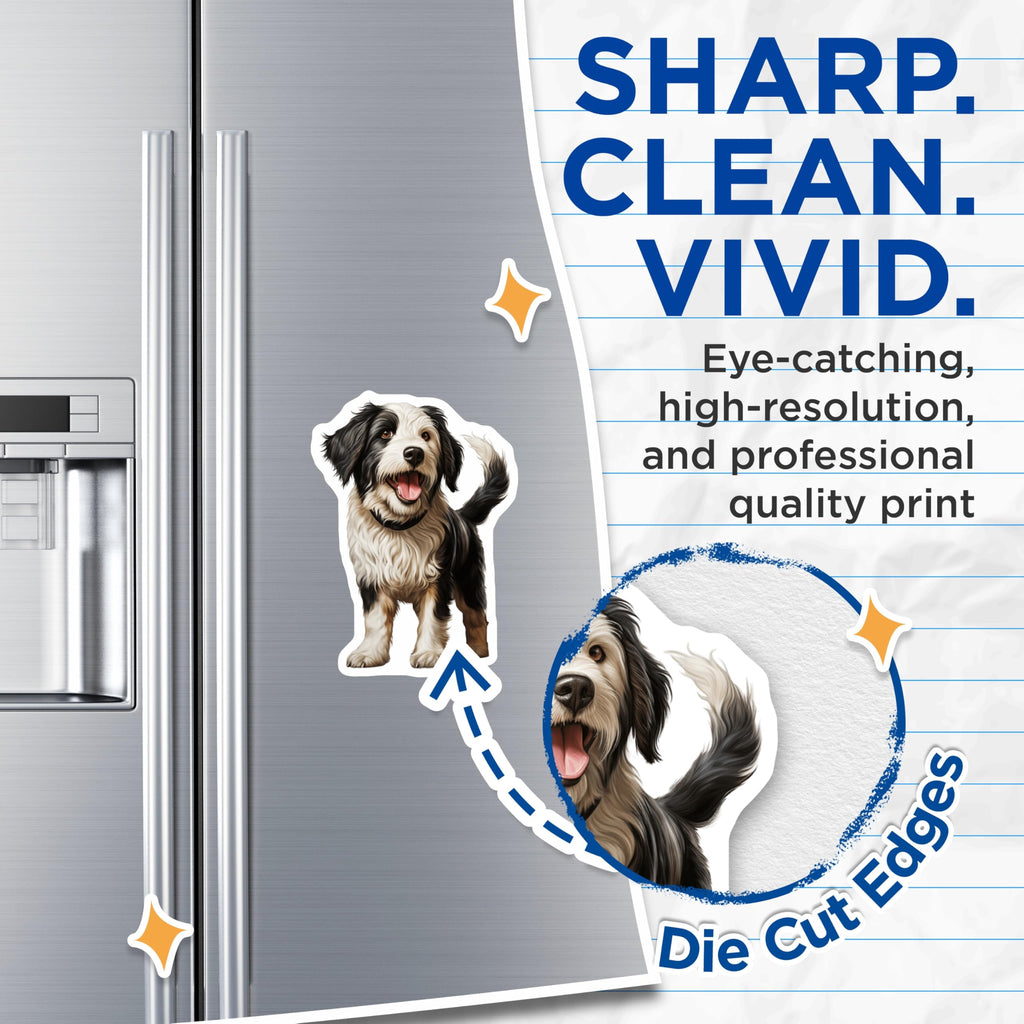 (2 Pack) Cute Bernese Dog Magnets - Happy Puppy Fridge Decor - Pet Lover Animal Art - 5 Inches On Longest Side - Thick Durable Magnet - Made in USA - MAG29881