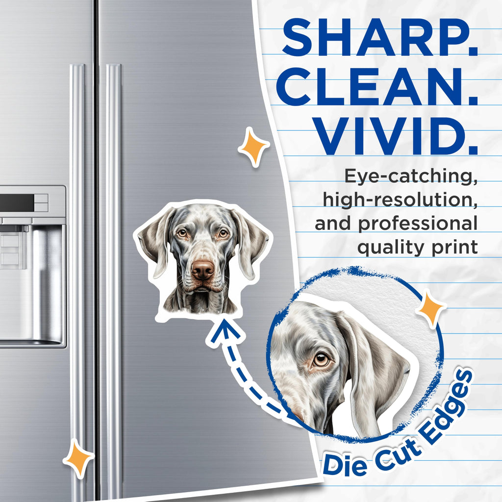 (2 Pack) Weimaraner Dog Magnets - Elegant Canine Portrait Art - Silver Gray Pointer Breed Decor - Animal Lovers Display - 5 Inches On Longest Side - Thick Durable Magnet - Made in USA - MAG24045