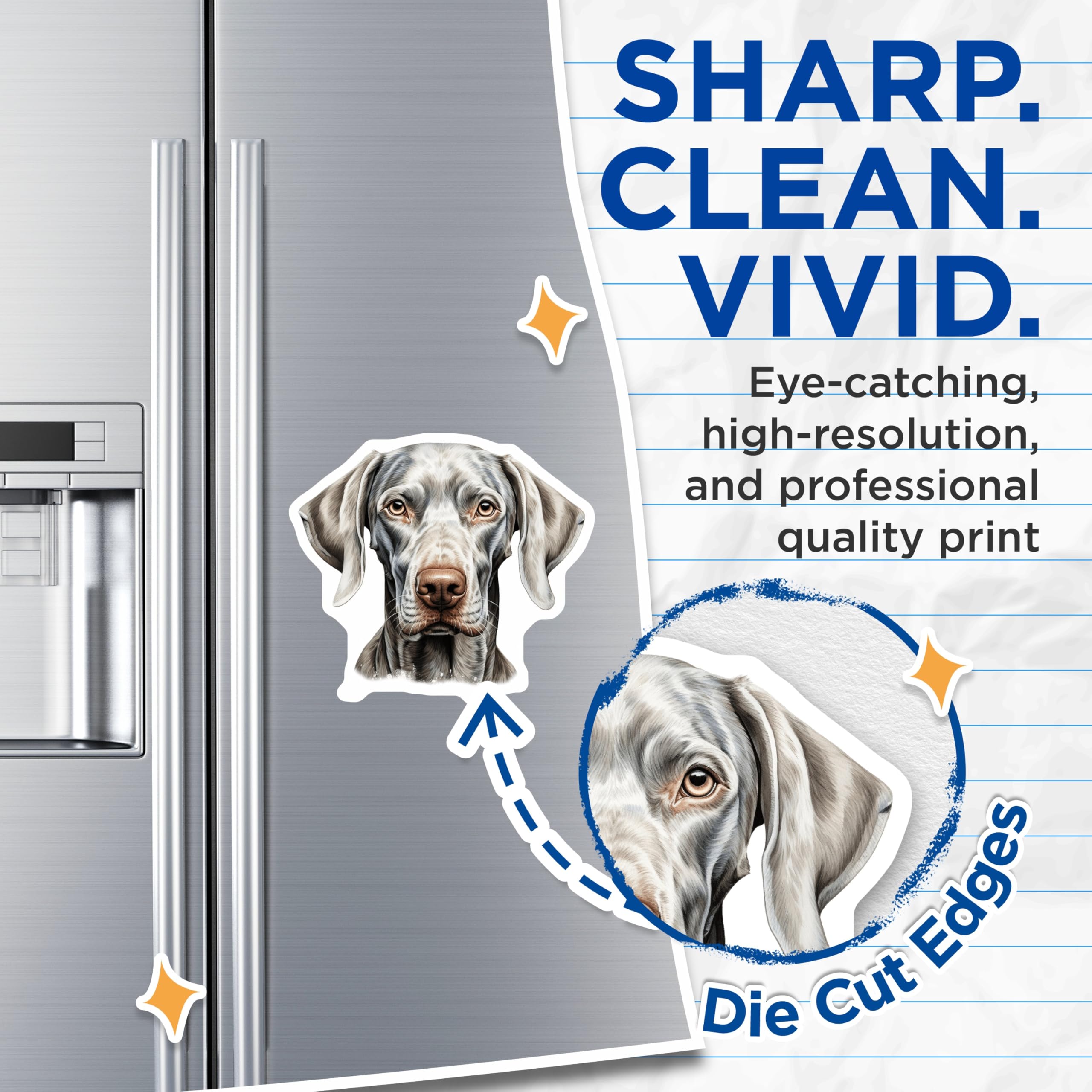 (2 Pack) Weimaraner Dog Magnets - Elegant Canine Portrait Art - Silver Gray Pointer Breed Decor - Animal Lovers Display - 5 Inches On Longest Side - Thick Durable Magnet - Made in USA - MAG24045