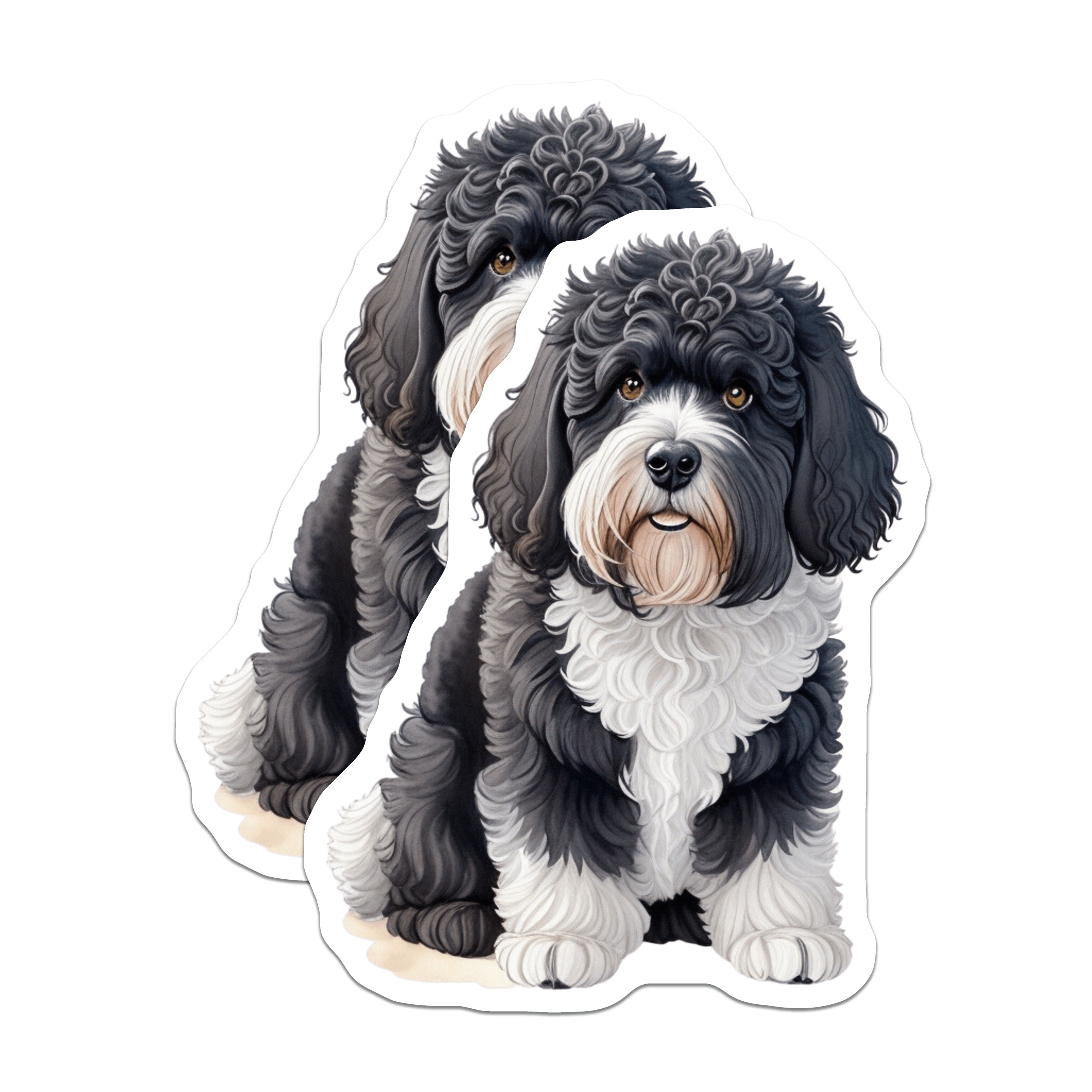 (2 Pack) Tibetan Terrier Dog Magnets - Cute Fluffy Puppy - Pet Lover Fridge Decor - 5 Inches On Longest Side - Thick Durable Magnet - Made in USA - MAG38677