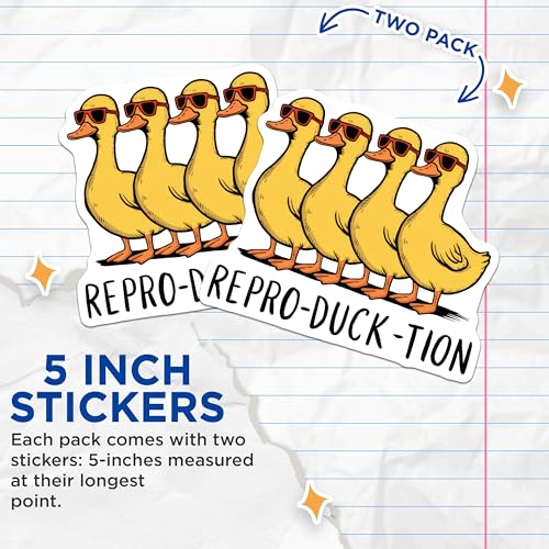 (2 Pack) Funny Duck Puns Stickers - Cute Animal Design - Playful Cartoon Decals - 5" On Longest Side - Sticks to Smooth Flat Surfaces - Made in USA - BMCS9531