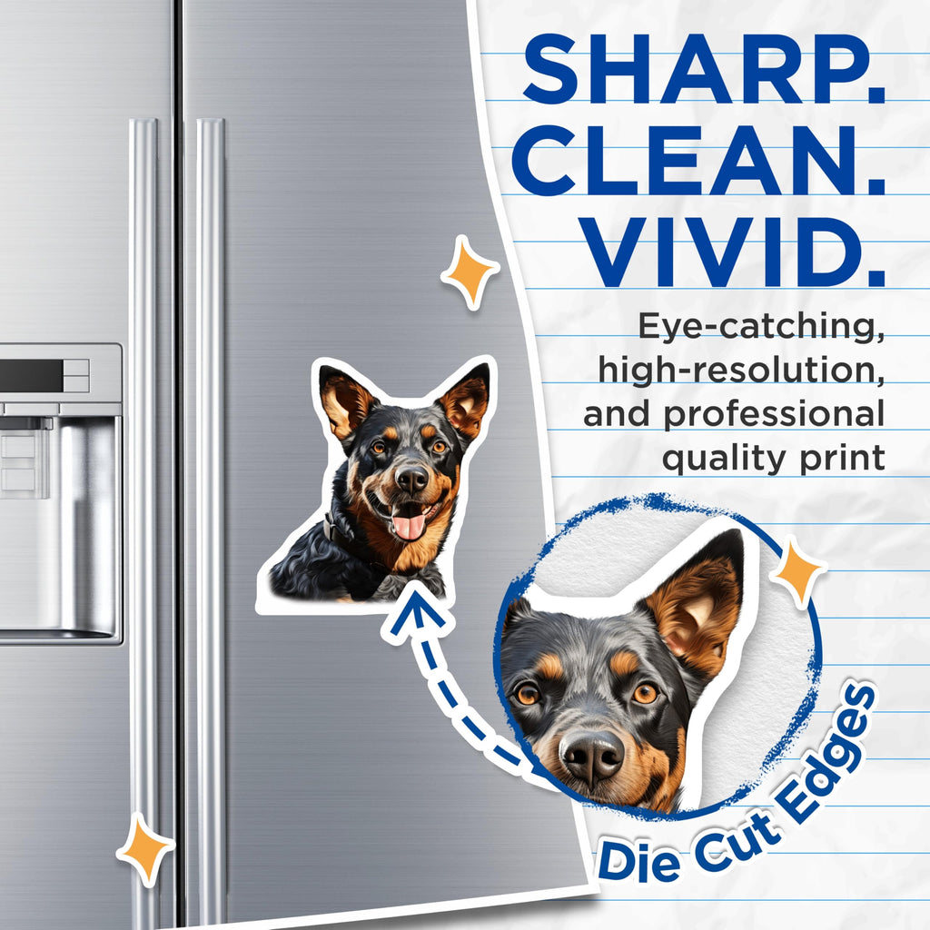 (2 Pack) Australian Cattle Dog Magnets - Blue Heeler Dog Lover Decor - Happy Heeler Pet Portrait Art - 5 Inches On Longest Side - Thick Durable Magnet - Made in USA - MAG30164