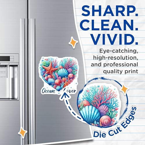 (2 Pack) Ocean Lover Magnets Magnets - Seashell Decor - Marine Life Decoration - 5" On Longest Side - Made in USA - Sticks to Refrigerators & Metal Surfaces - MAG9298