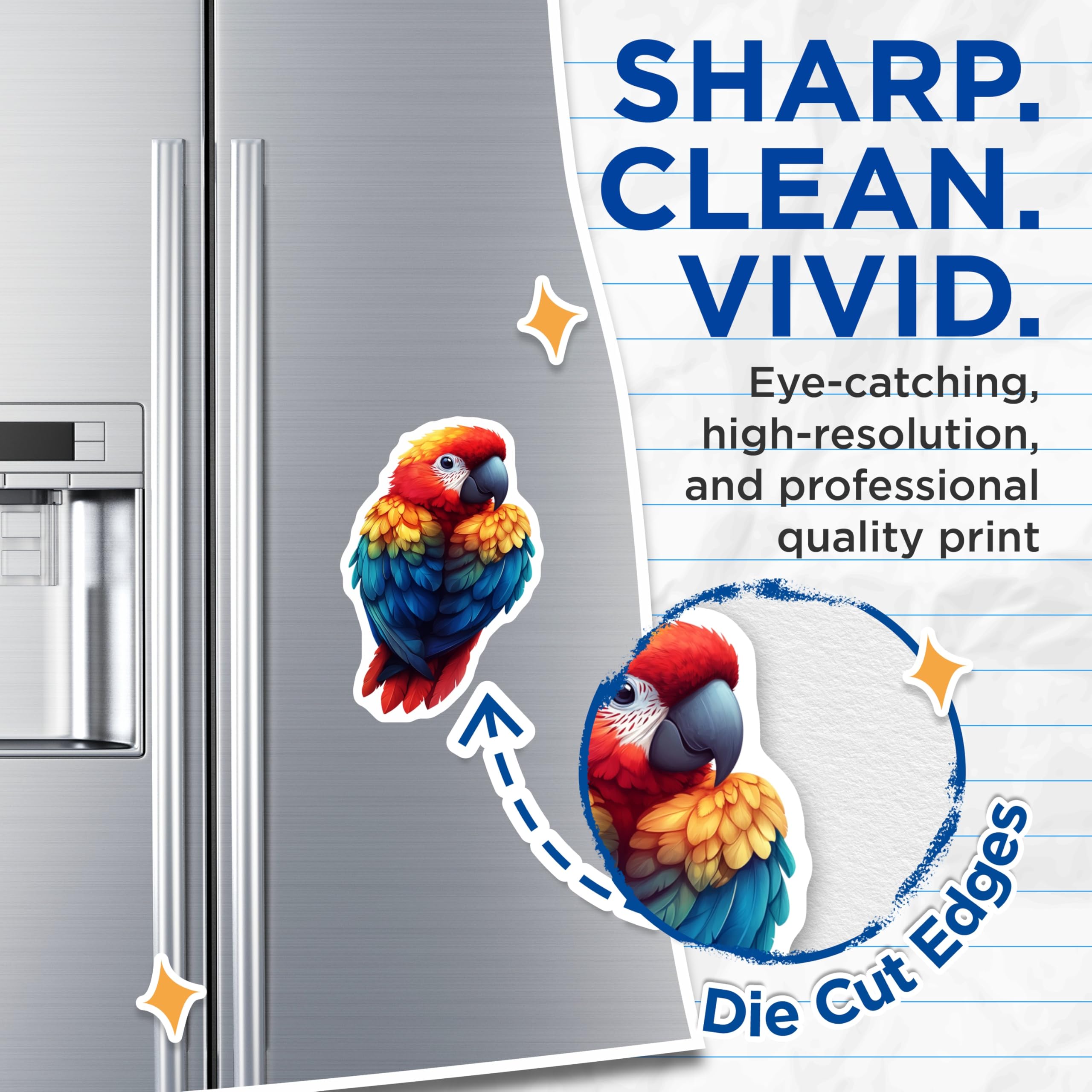 (2 Pack) Macaw Parrot Magnets - Vibrant Tropical Bird Decor - Colorful Fridge Locker Art - 5 Inches On Longest Side - Thick Durable Magnet - Made in USA - MAG29200