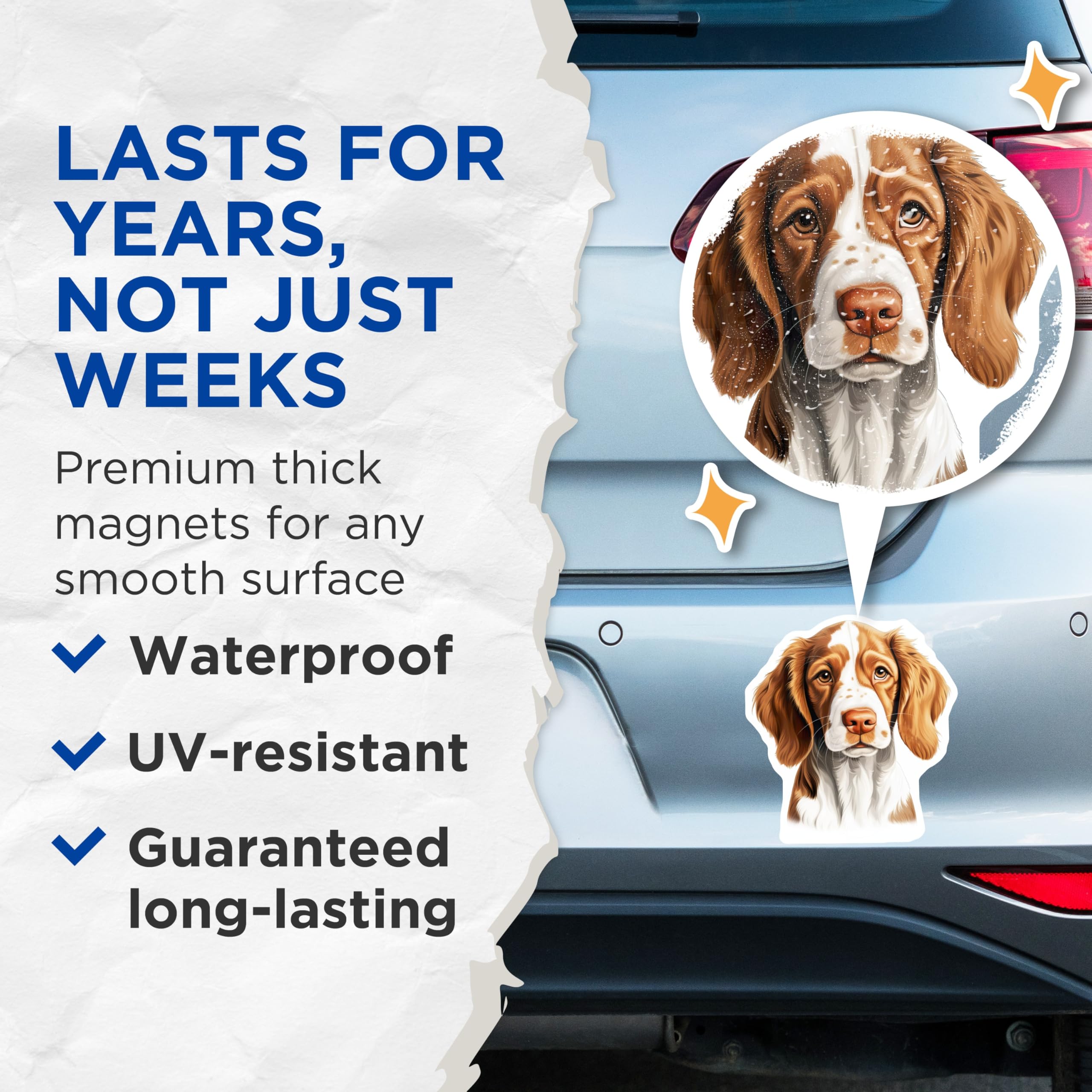 (2 Pack) Springer Spaniel Dog Magnets - Pet Lover Refrigerator Decor - Canine Breed Art - 5 Inches On Longest Side - Thick Durable Magnet - Made in USA - MAG30449