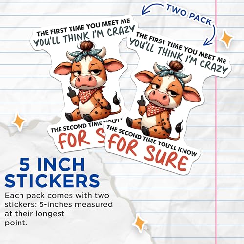 (2 Pack) Funny Cow Stickers - Humorous Animal Quotes - Cute Farm Animal Stickers - 5" On Longest Side - Sticks to Smooth Flat Surfaces - Made in USA - BMCS3777