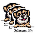(3 Pack) Chihuahua Mix Decals - Cute Dog Stickers - Laptop Decals - 3 Inches On Longest Side - Easy Peel & Apply - Made in USA - 3MCS2985