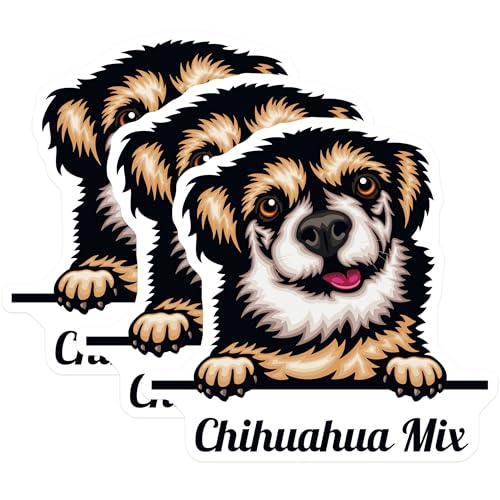 (3 Pack) Chihuahua Mix Decals - Cute Dog Stickers - Laptop Decals - 3 Inches On Longest Side - Easy Peel & Apply - Made in USA - 3MCS2985