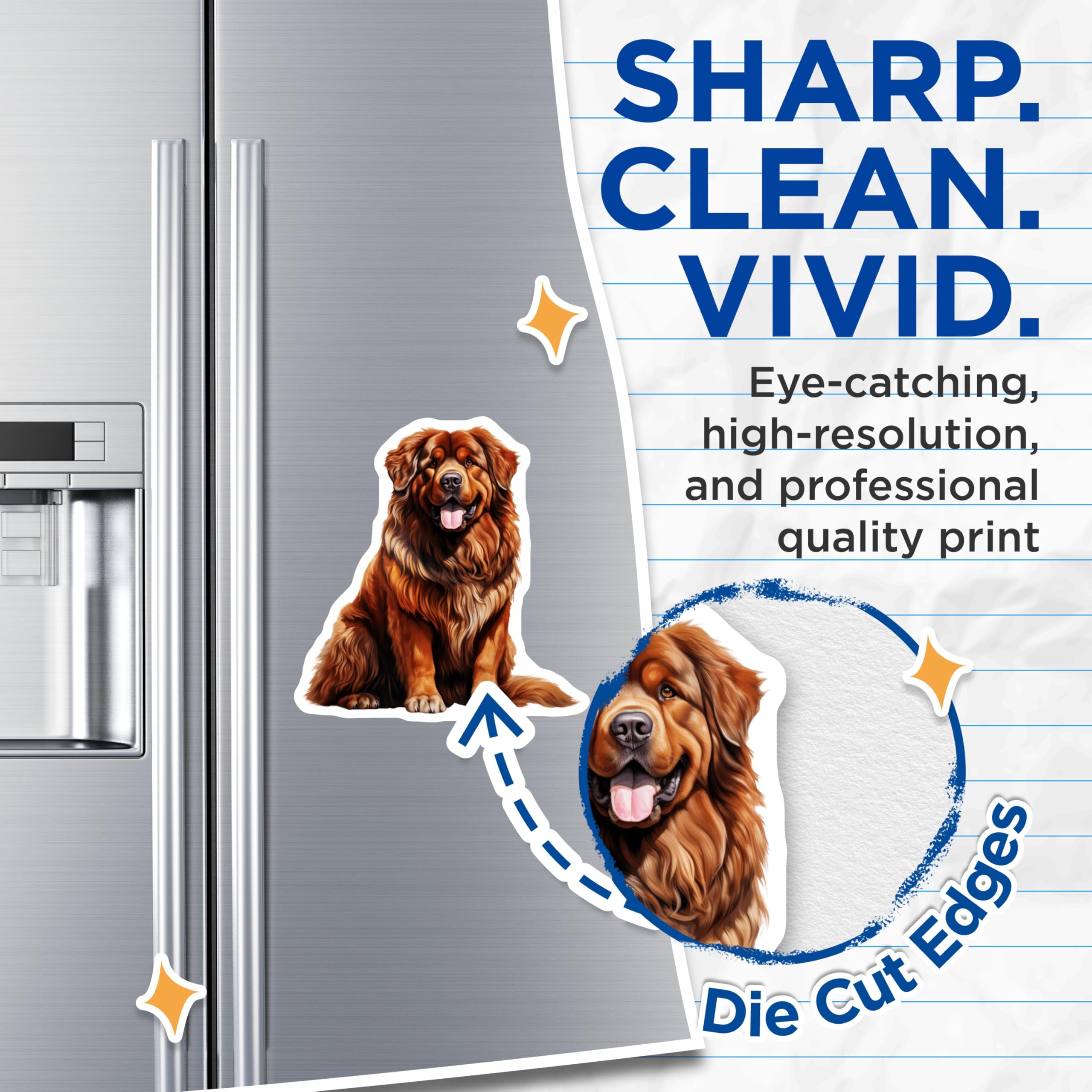 (2 Pack) Tibetan Mastiff Dog Magnets - Fluffy Pet Animal Art - Dog Mom Fridge Decoration - 5 Inches On Longest Side - Thick Durable Magnet - Made in USA - MAG26213