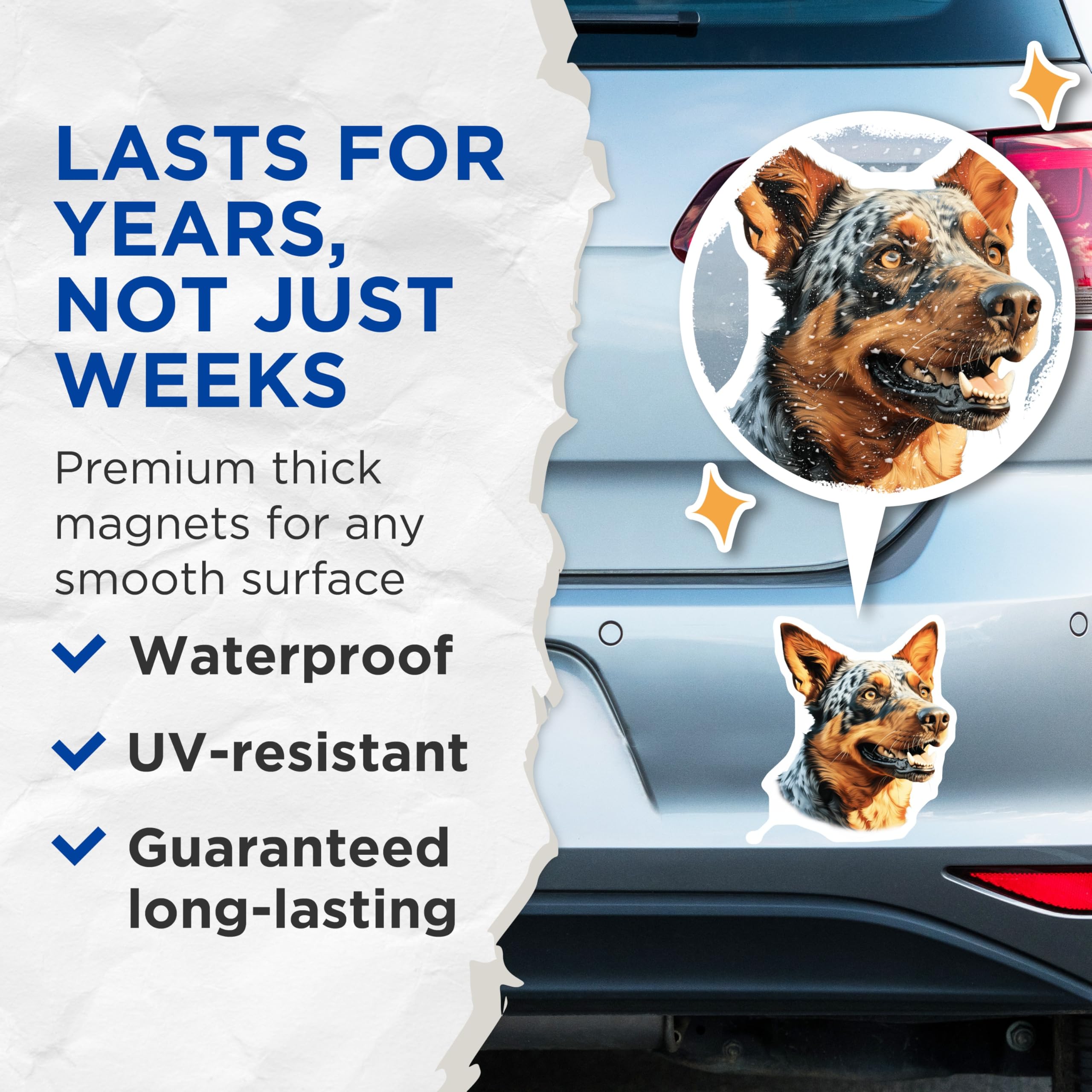 (2 Pack) Australian Cattle Dog Magnets - Blue Heeler Refrigerator Magnet - Farm Dog Art Decoration - Dog Breed Kitchen Decor - 5 Inches On Longest Side - Thick Durable Magnet - Made in USA - MAG24284