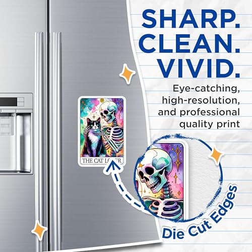 (2 Packs) The Cat Lover Tarot Card Magnets - Skull with Cat Magnets - 5 Inches On Longest Side - Premium Magnet - for Fridges, Toolboxes, Cars - Made in USA - MAG2538