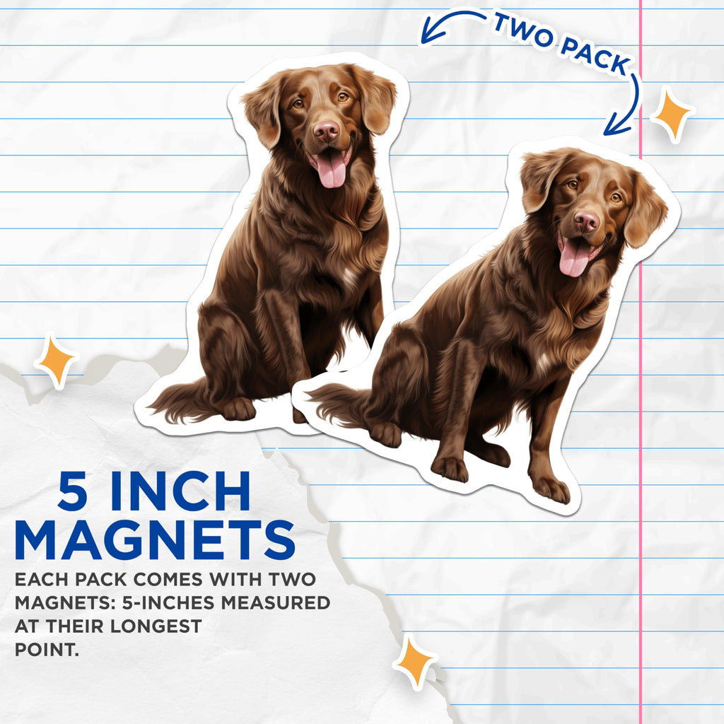 (2 Pack) Chocolate Retriever Magnets - Dog Lover Decor - Pet Parent Accessory - 5 Inches On Longest Side - Thick Durable Magnet - Made in USA - MAG29180