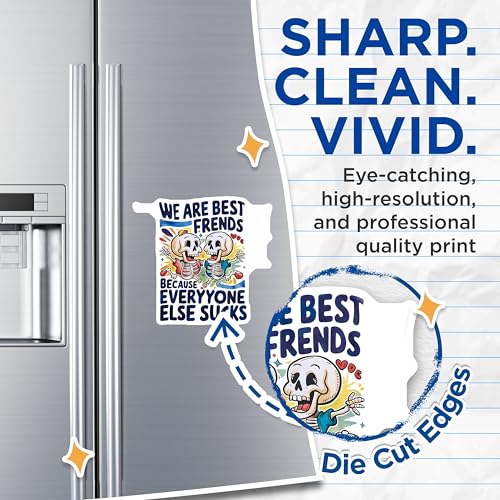 (2 Pack) We are Best Friends Magnets - Skull Skeleton - Funny Friendship Quotes - 5" On Longest Side - for Cars, Fridges, Toolboxes - Made in USA - MAG3683
