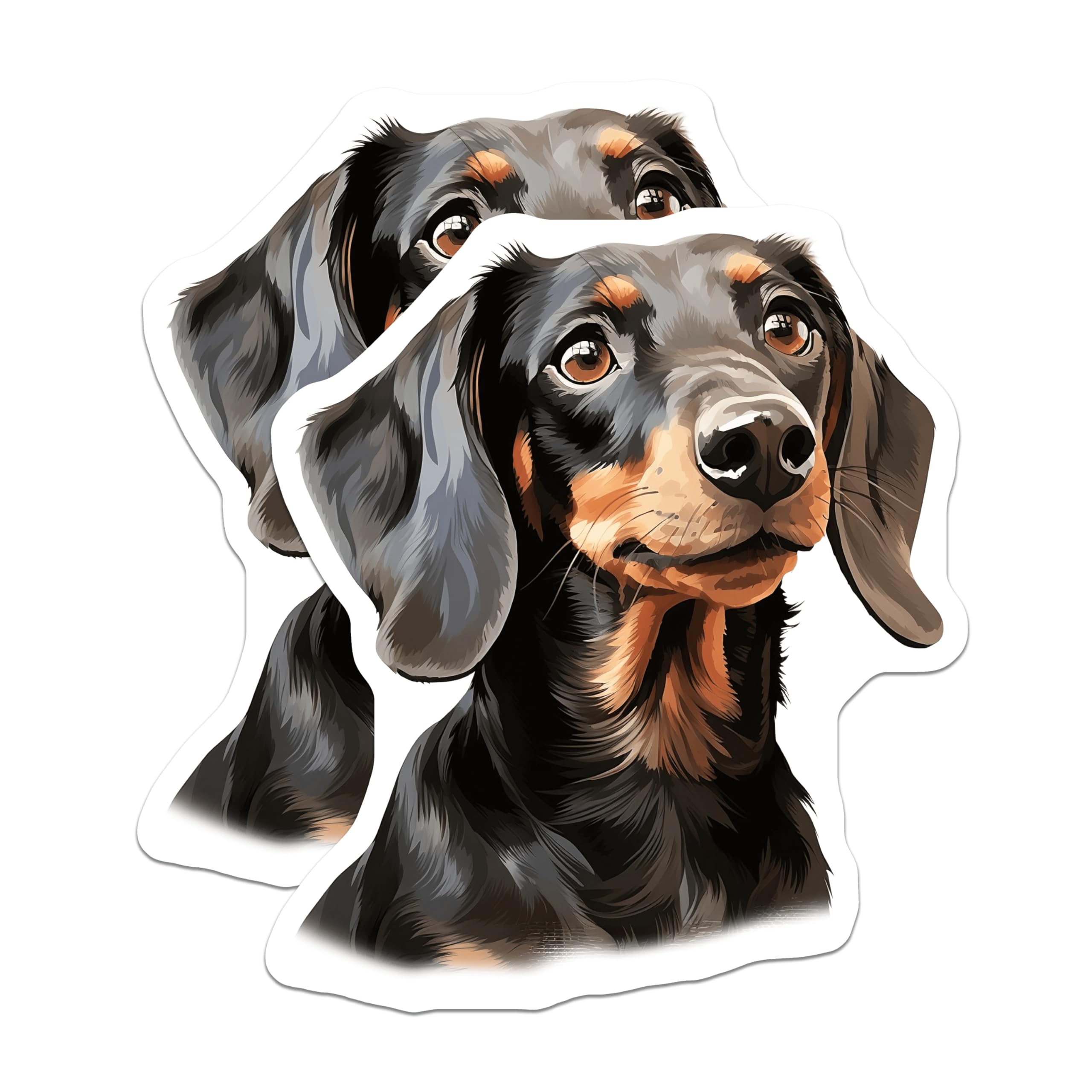 (2 Pack) Black Tan Dachshund Magnets - Doxie Dog Portrait - Pet Lover Fridge Decor - 5 Inches On Longest Side - Thick Durable Magnet - Made in USA - MAG30876