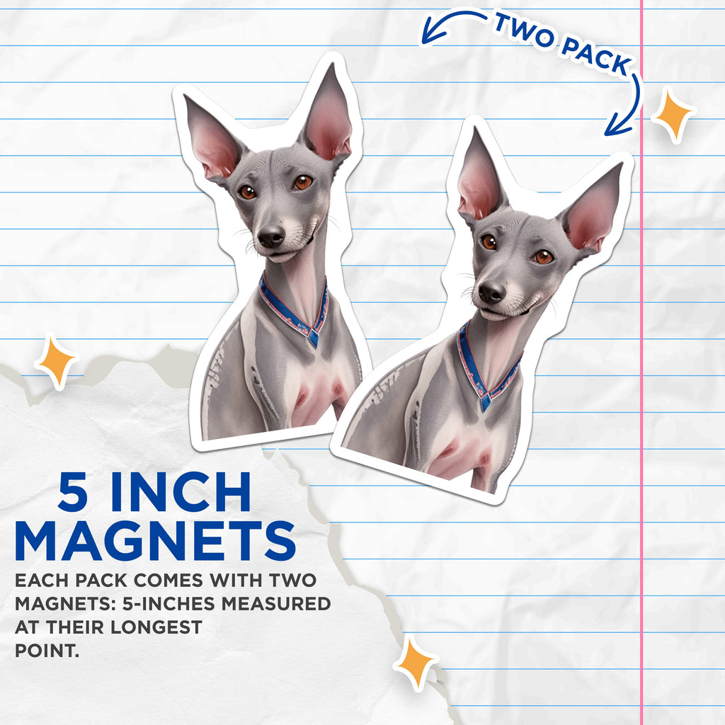 (2 Pack) Italian Greyhound Magnets - Dog Lover Decor - Pet Owner Home Accent - Italian Sighthound Art - 5 Inches On Longest Side - Thick Durable Magnet - Made in USA - MAG38866