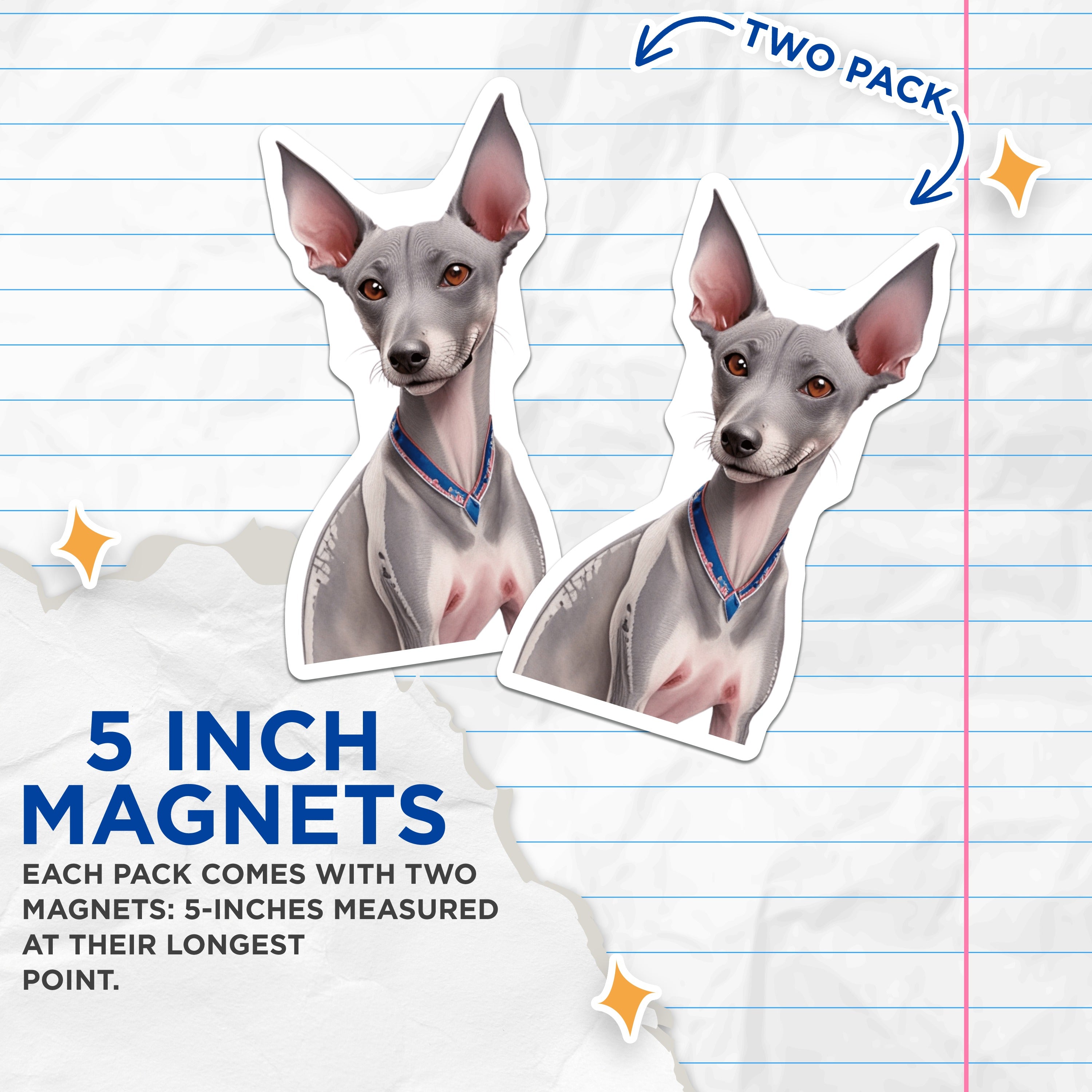 (2 Pack) Italian Greyhound Magnets - Dog Lover Decor - Pet Owner Home Accent - Italian Sighthound Art - 5 Inches On Longest Side - Thick Durable Magnet - Made in USA - MAG38866