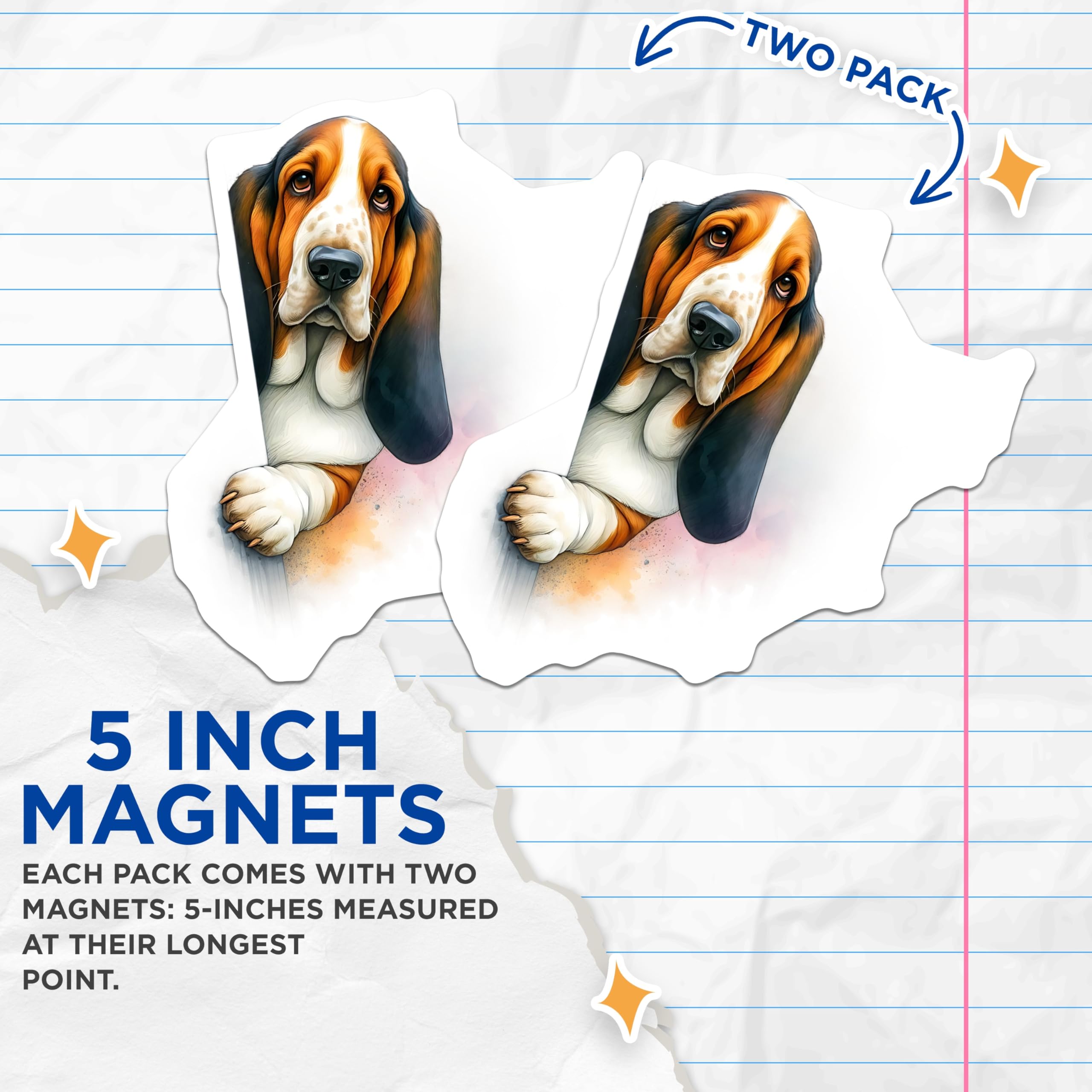 (2 Pack) Basset Hound Magnets - Dog Breed Decor - Funny Animal Fridge Magnets - 5" On Longest Side - Premium Magnet - for Cars, Refrigerators, Toolboxes, Lockers - Made in USA - MAG15139