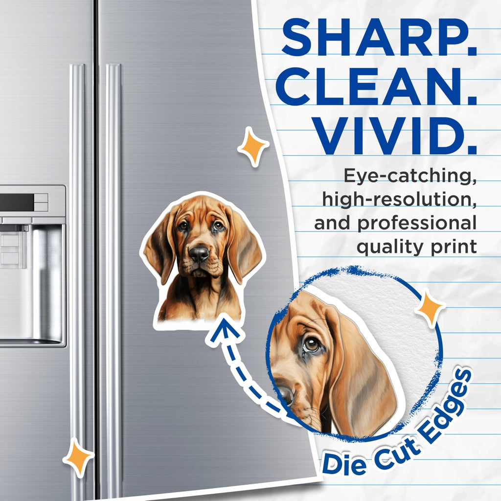 (2 Pack) Bloodhound Puppy Magnets - Cute Dog Pet Owner Decor - Animal Lover Fridge Locker Decor for Dog Mom - 5 Inches On Longest Side - Thick Durable Magnet - Made in USA - MAG28912