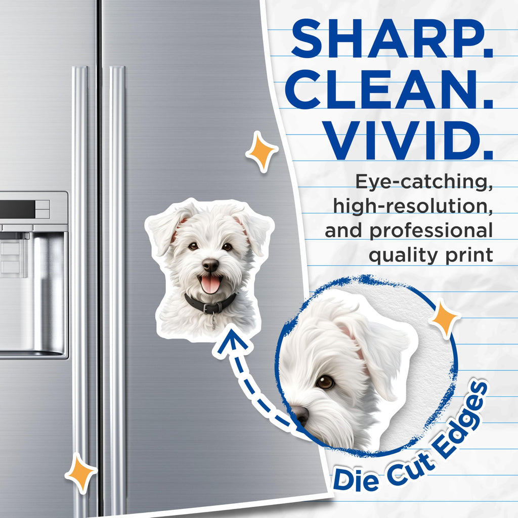 (2 Pack) White Fluffy Dog Magnets - Dog Mom Refrigerator Decor - Cute Puppy Animal Art - 5 Inches On Longest Side - Thick Durable Magnet - Made in USA - MAG29941