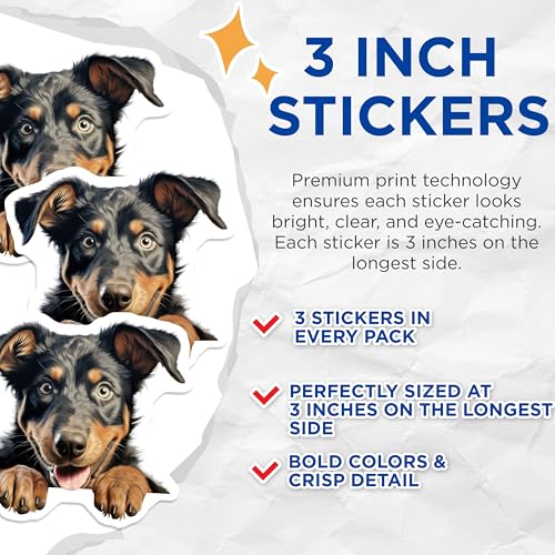 (3 Pack) Cute Dog Decals - Puppy Laptop Stickers - Border Collie - 3 Inches On Longest Side - Easy Peel & Apply - Made in USA - 3MCS8620