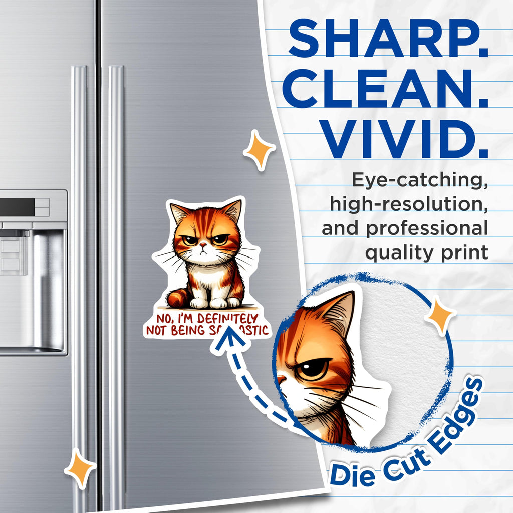 (2 Pack) Sarcastic Cat Magnets - Grumpy Cat Meme - Funny Refrigerator Decals - 5" On Longest Side - Premium Magnet - for Cars, Refrigerators, Toolboxes, Lockers - Made in USA - MAG16769